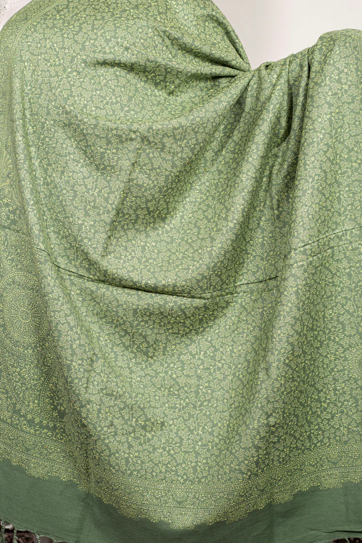 Pissta green Zari Pashmina-Blended Shawl & Hand-Embroidered Luxury Handbag Set | New Year Combo Offer