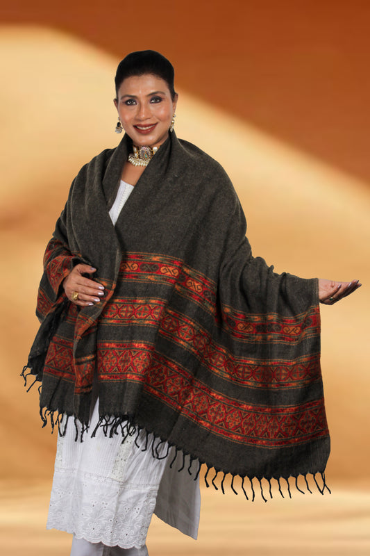 Tibetan Shawl: Hand-Embroidered Kashmiri Craft with Cultural Beauty