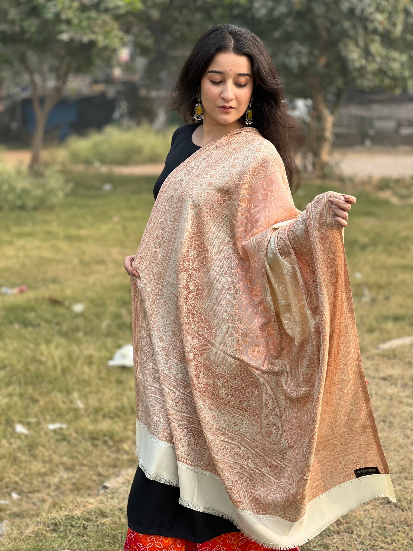 Ten Kashmiri Kalamkari  for Those who Wear art, Not just accessories.