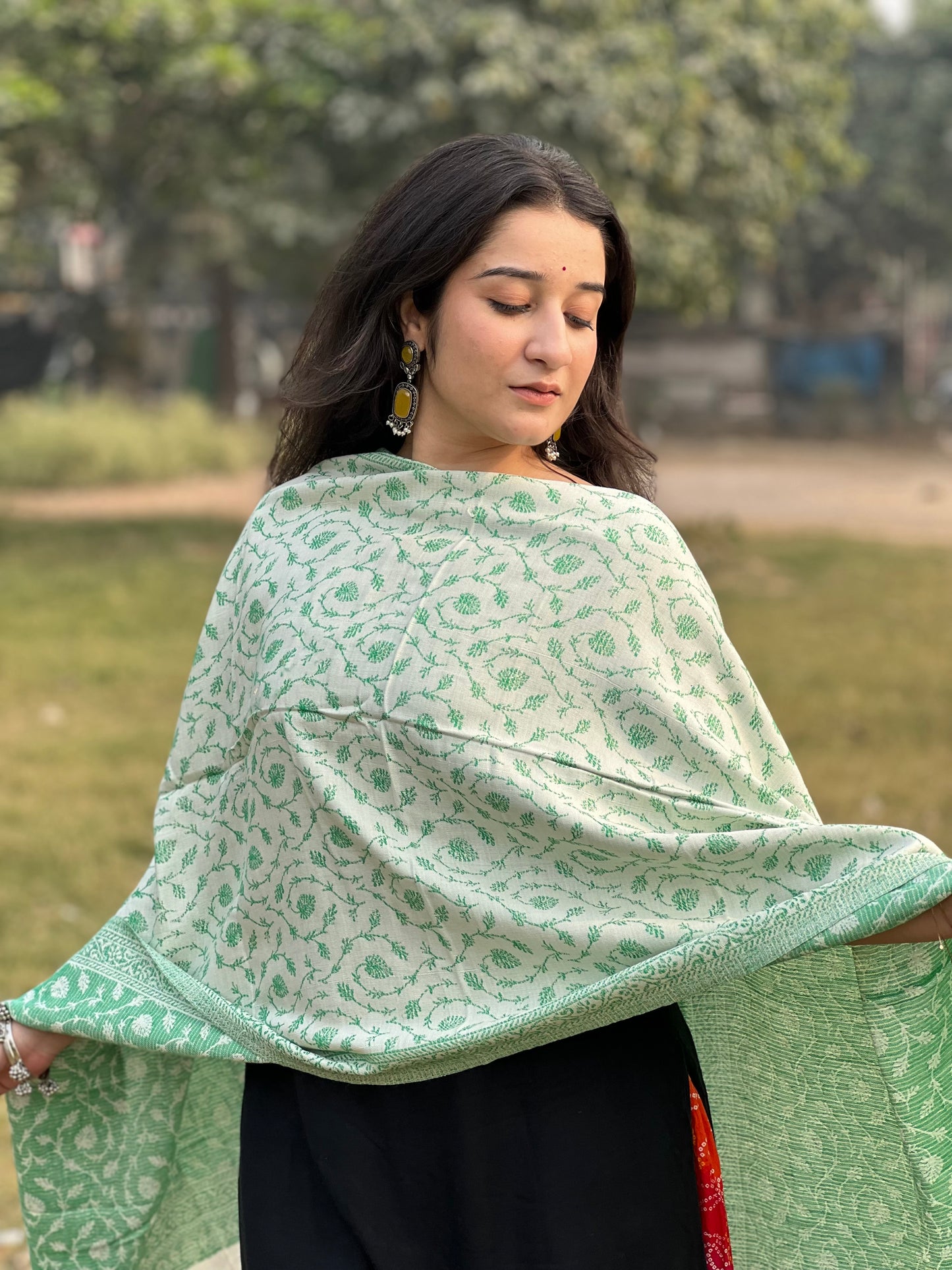 Green Zari Stole for women.