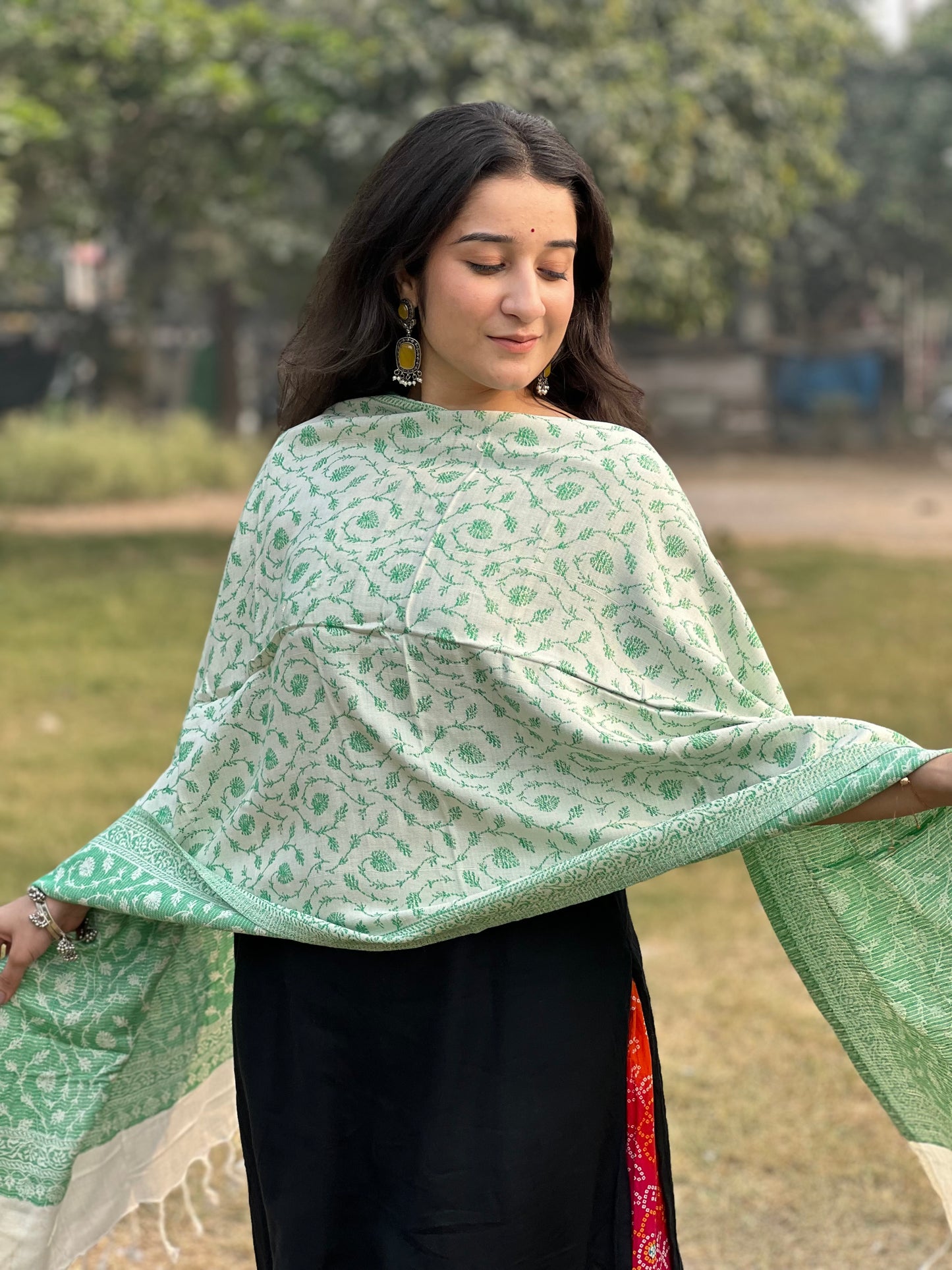 Green Zari Stole for women.