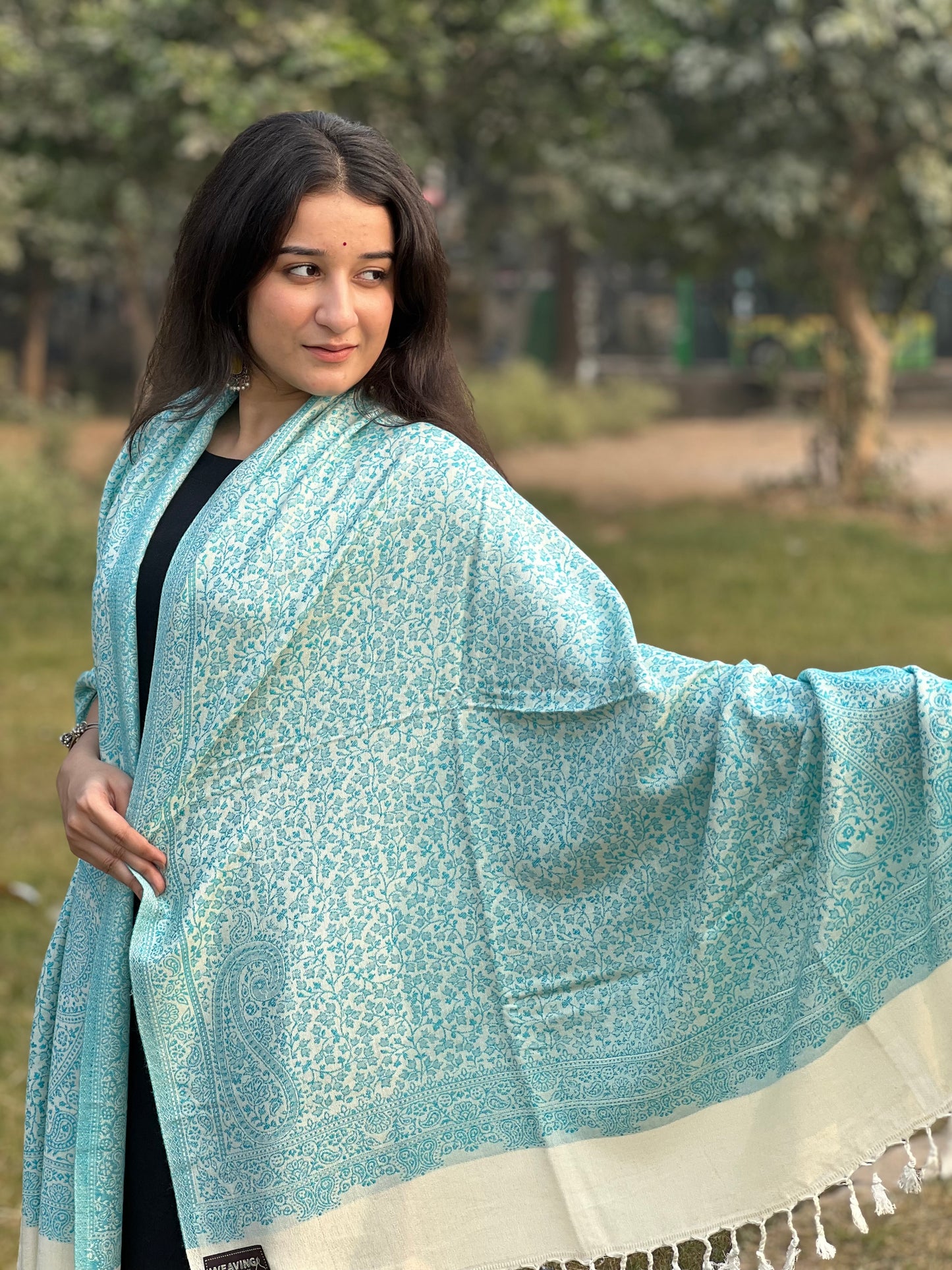 Blue jacquard Stole – Elegant Weave, Timeless Style