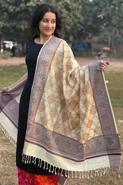 Wedding Shawl – A Royal Kashmiri Masterpiece for Your Special Day