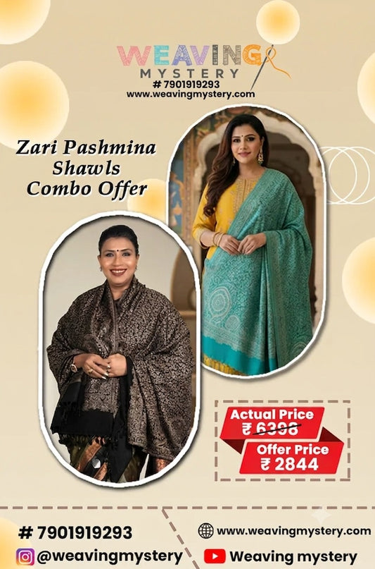 Luxury Zari Handcrafted Pashmina Shawl Combo Set
